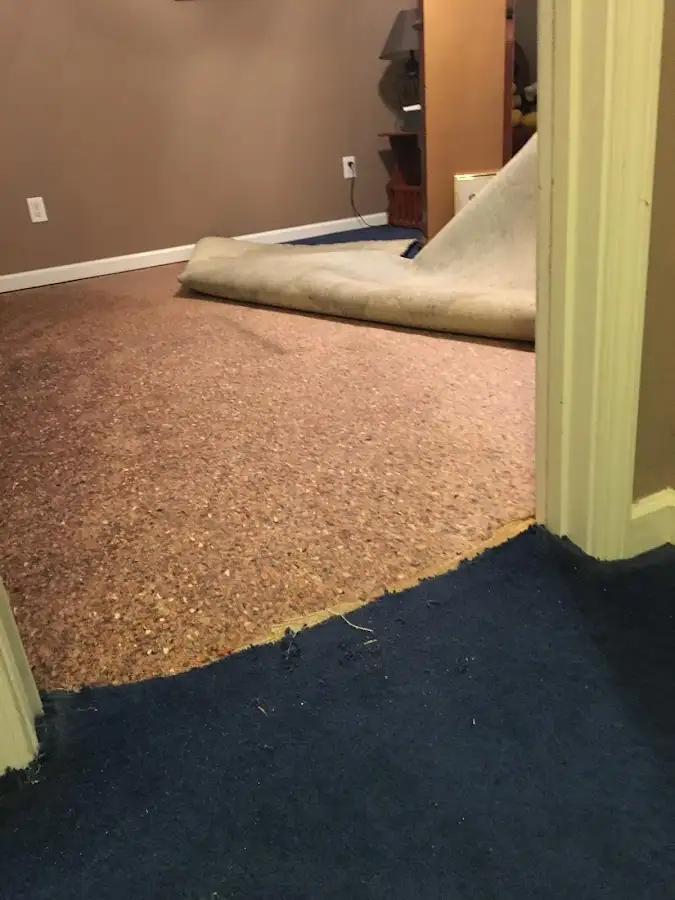 Carpet pad removal revealing water damage during Drying & Dehumidification in Tyrone