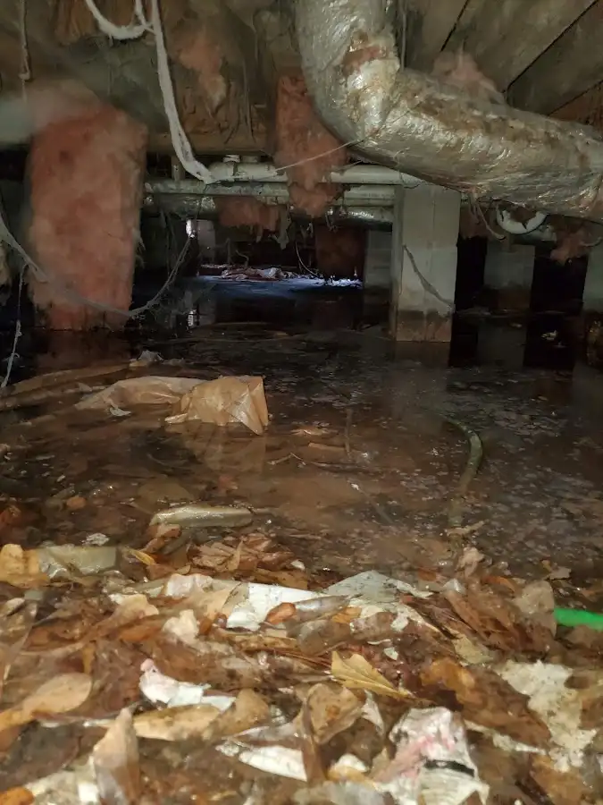 Crawl space flood assessment for Leak Detection & Repair in Tyrone